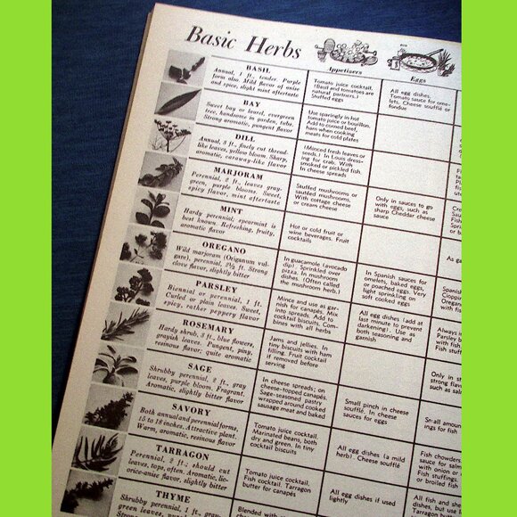 Book: Vegetable Gardening by Sunset Books, Vintage - Picture 14 of 16